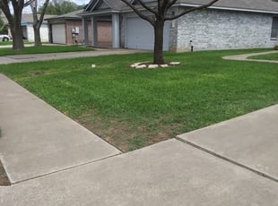 Garland Tx Lawn Care Service Lawn Mowing From 19 Rated Best 2021