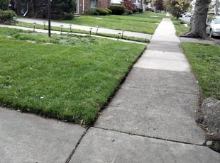 Garner, NC Lawn Care Service | Lawn Mowing from $19 | Rated Best 2021