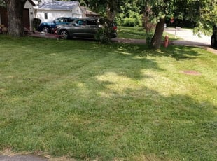 Garner Nc Lawn Care Service Lawn Mowing From 19 Rated Best 2021