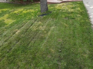 Gloucester Ma Landscaping From 29 1 Landscapers Best Of 2021