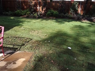 who did it lawn care