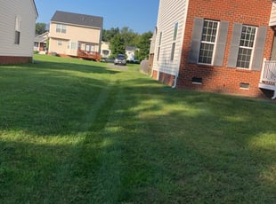 Grandview Mo Lawn Care Service Lawn Mowing From 19 Rated Best 2021