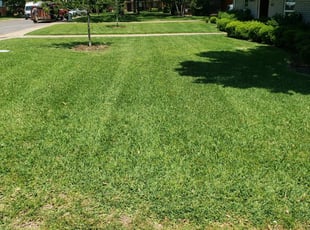 tanner lawn care on 1 Greenville Mi Lawn Care Service Lawn Mowing From 19 Best 2021
