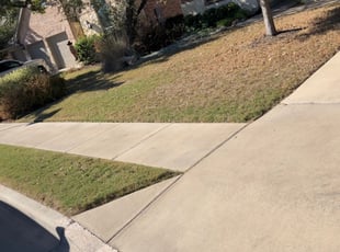 Half moon bay landscaping