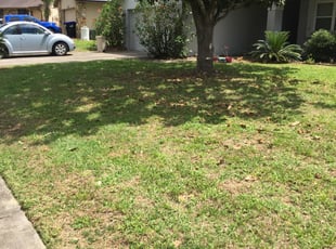 Hamden landscaping
