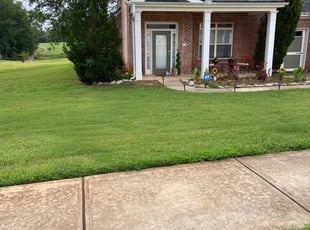 1 Hampton Ga Lawn Care Service Lawn Mowing From 19 Best 2021