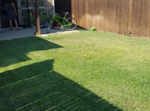Harrisburg Nc Lawn Care Service Lawn Mowing From 19 Rated Best 21