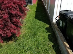 Herriman Ut Lawn Care Service Lawn Mowing From 19 Rated Best 2021 Herriman Ut Lawn Care Service Lawn Mowing From 19 Rated Best 2021