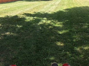 Herriman Ut Lawn Care Service Lawn Mowing From 19 Rated Best 2021 Herriman Ut Lawn Care Service Lawn Mowing From 19 Rated Best 2021