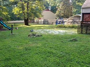 Featured image of post Landscape Design Services Holland Michigan