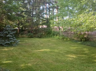 1 Humble Tx Lawn Care Service Lawn Mowing From 19 Best 2021