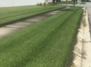 #1 Jackson, MS Lawn Care Service | Lawn Mowing from $19 | Best 2021
