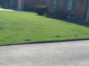 1 Jackson Ms Lawn Care Service, Solid Ground Landscaping Brandon Ms