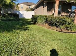 Jacksonville Fl Lawn Care Service Lawn Mowing From 19 Rated Best 2021