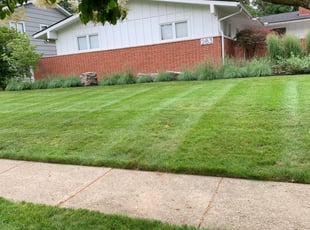 Jacksonville Fl Lawn Care Service Lawn Mowing From 19 Rated Best 2021