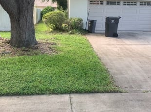 Jacksonville Nc Landscaping From 29 1 Landscapers Best Of 2021