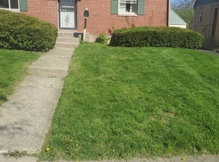 Jasper Ga Landscaping From 29 1 Landscapers Best Of 2021