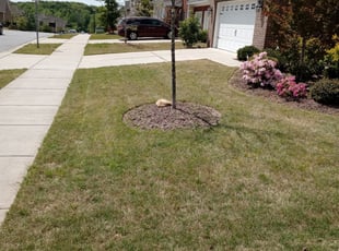 1 Jonesboro Ga Lawn Care Service Lawn Mowing From 19 Best 2021 1 Jonesboro Ga Lawn Care Service Lawn Mowing From 19 Best 2021