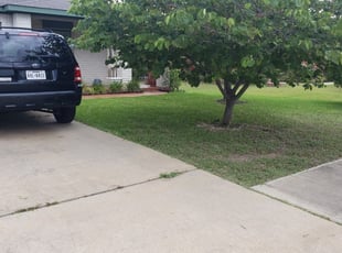 1 Katy Tx Lawn Care Service Lawn Mowing From 19 Best 2021