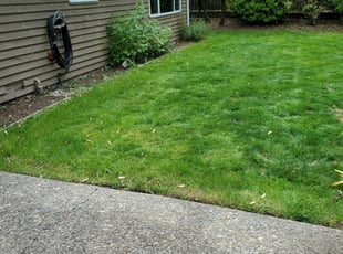 Kennesaw Ga Landscaping From 29 1 Landscapers Best Of 2021