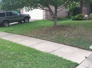 Kingwood Tx Landscaping From 29 1 Landscapers Best Of 2021