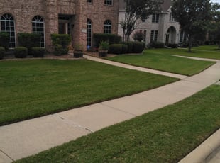 Kingwood Tx Landscaping From 29 1 Landscapers Best Of 2021