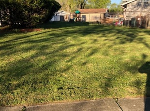 Laguna Woods Ca Lawn Care Service Lawn Mowing From 19 Rated Best 2021