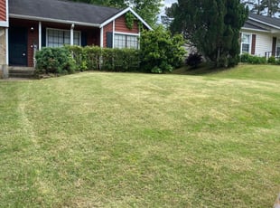 Lakeland FL Lawn Care Service Lawn Mowing from $19 Best of 2022