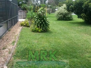 tree removal sharon ma, Lanham MD