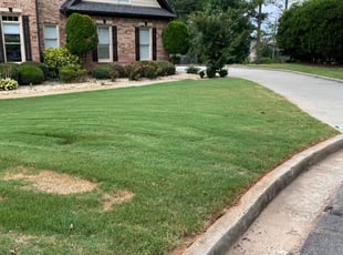 Lawrenceville, GA Lawn Care Service | Lawn Mowing from $19 | Best of 2022