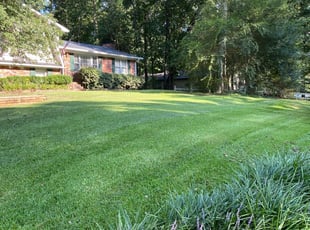 1 Lebanon Tn Lawn Care Service Lawn Mowing From 19 Best 2021