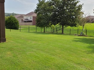 1 Lebanon Tn Lawn Care Service Lawn Mowing From 19 Best 2021