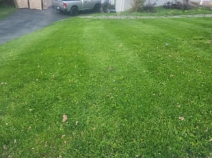Lehi, UT Lawn Care Service | Lawn Mowing from $19 | Rated Best 2022