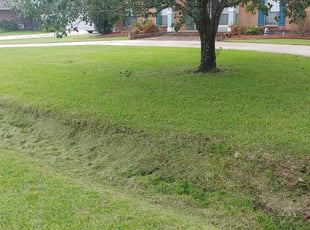 #1 Leicester, NC Lawn Care Service | Lawn Mowing from $19 ...