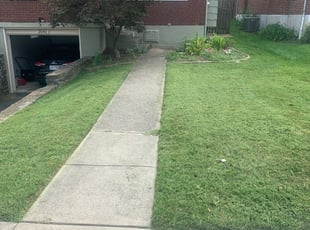 Lexington Sc Landscaping From 29 1 Landscapers Best Of 2021