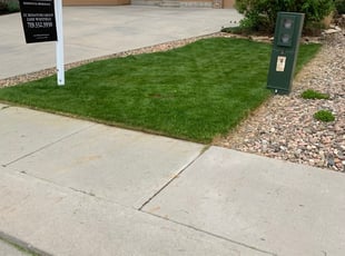 Lincoln Ne Landscaping From 29 1 Landscapers Best Of 2021