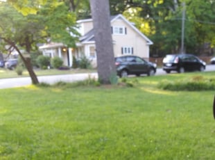 Locust Grove Ga Landscaping From 29 1 Landscapers Best Of 2021