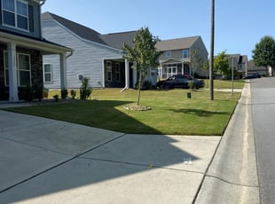 1 Lombard Il Lawn Care Service Lawn Mowing From 19 Best 2021