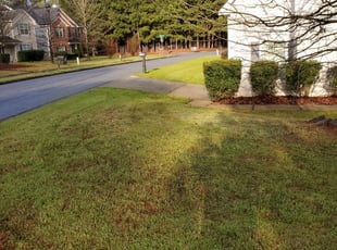 1 Lombard Il Lawn Care Service Lawn Mowing From 19 Best 2021