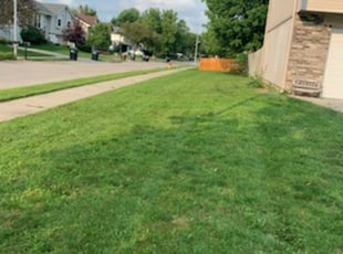 Los Angeles Ca Lawn Care Lawn Mowing From 19 Lawnstarter