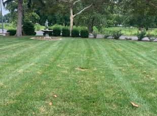 Louisville Ky Landscaping From 29 1 Landscapers Best Of 2021