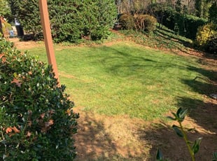 Marietta Ga Lawn Care Service Mowing From 19 Lawnstarter Marietta Ga Lawn Care Service, Marietta Lawn And Garden