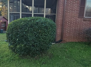 Marietta Ga Lawn Care Service Mowing From 19 Lawnstarter Marietta Ga Lawn Care Service, Marietta Lawn And Garden