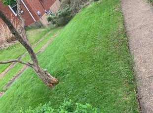 Melbourne Beach Fl Lawn Care Service Lawn Mowing From 19 Rated Best 2021