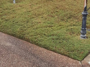 1 Memphis Tn Lawn Care Service Lawn Mowing From 19 Best 2021 1 Memphis Tn Lawn Care Service Lawn Mowing From 19 Best 2021