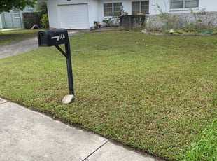 1 Merritt Island Fl Lawn Care Service Lawn Mowing From 19 Best 2021