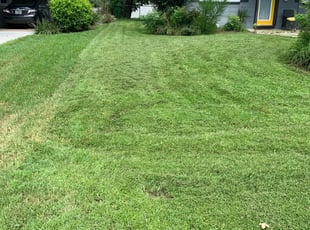 1 Merritt Island Fl Lawn Care Service Lawn Mowing From 19 Best 2021