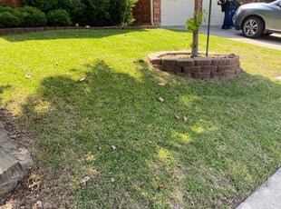 1 Metairie La Lawn Care Service Lawn Mowing From 19 Best 2021 1 Metairie La Lawn Care Service Lawn Mowing From 19 Best 2021