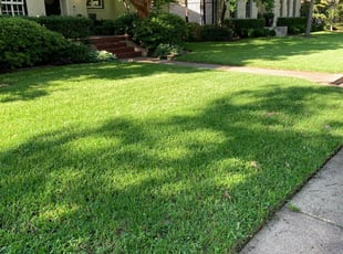 Miami Fl Landscaping From 29 1 Landscapers Best Of 2021