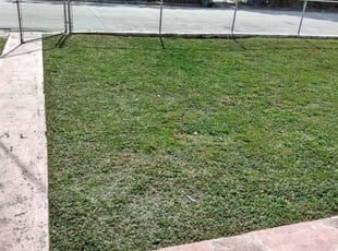 Miami FL Lawn Care Service Lawn - Miami Fl Lawn Care 1785664